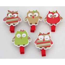 Clothespins Owls assorted